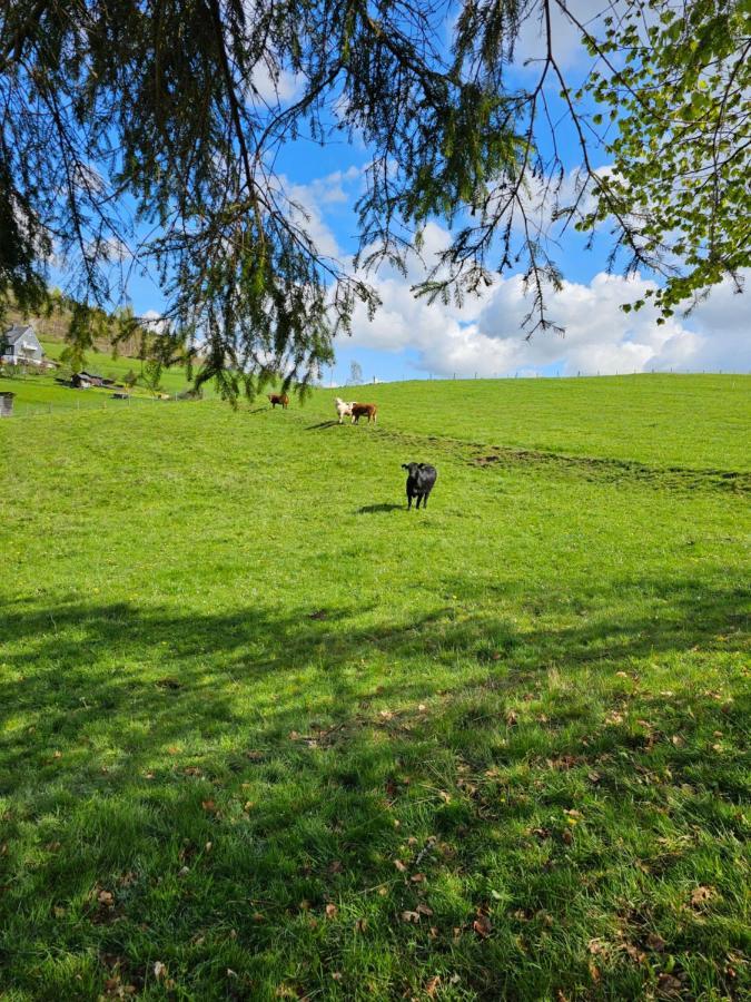 Apartmán Fewo Am Premium Wanderort Bad Berleburg Exteriér fotografie
